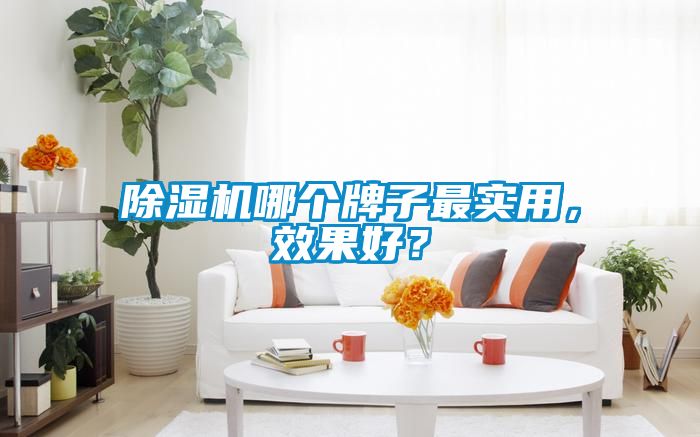 草莓视频黄色在线观看机哪个牌子最实用，效果好？
