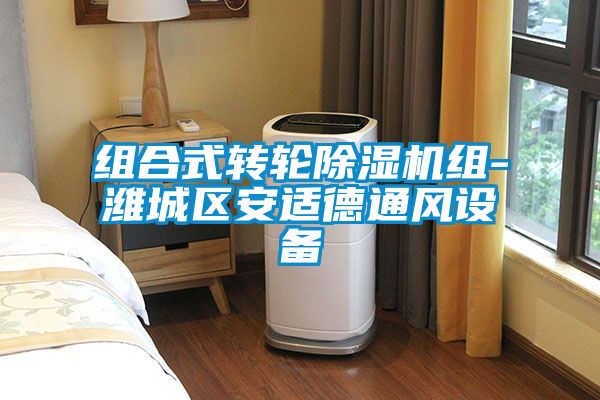 组合式转轮草莓视频黄色在线观看机组-潍城区安适德通风设备