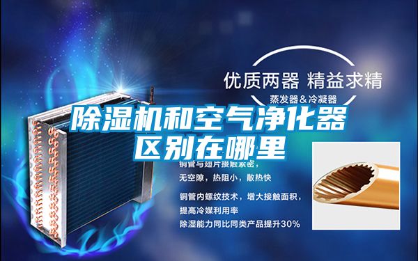 草莓视频黄色在线观看机和空气净化器区别在哪里