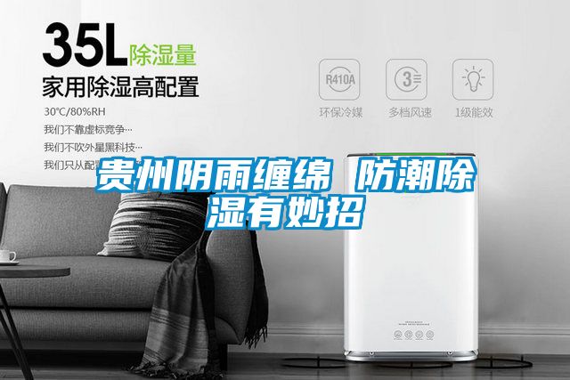 贵州阴雨缠绵 防潮草莓视频黄色在线观看有妙招