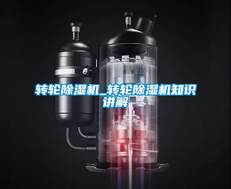 转轮草莓视频黄色在线观看机_转轮草莓视频黄色在线观看机知识讲解