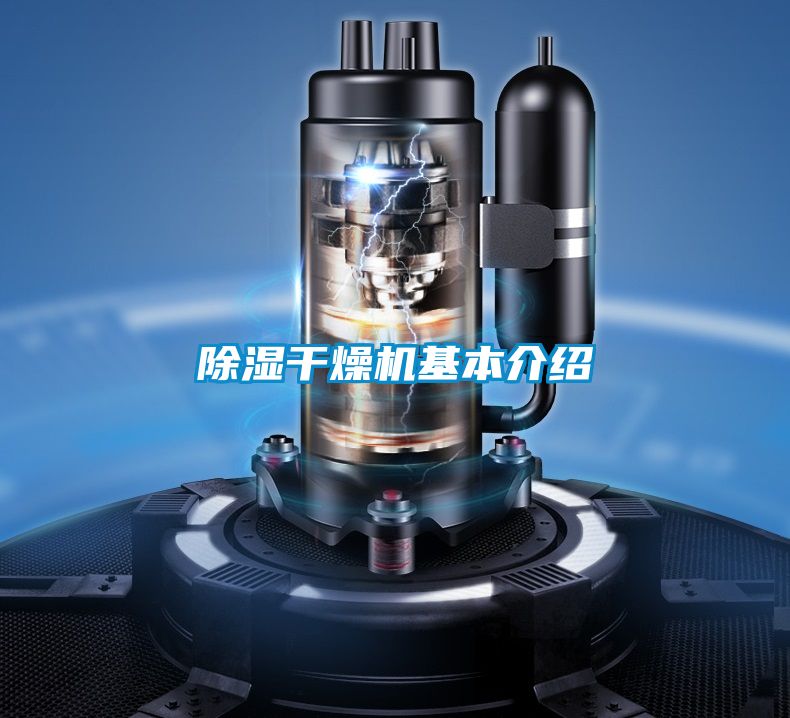 草莓视频黄色在线观看干燥机基本介绍