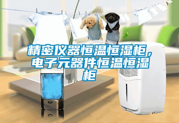 精密仪器恒温恒湿柜，电子元器件恒温恒湿柜