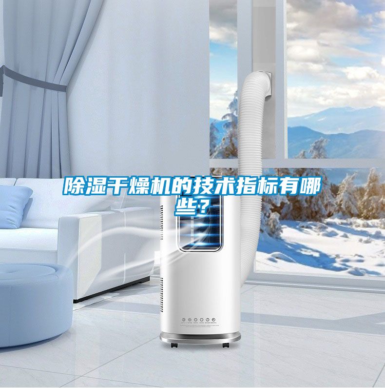 草莓视频黄色在线观看干燥机的技术指标有哪些？