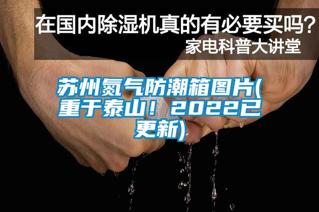 苏州氮气防潮箱图片(重于泰山！2022已更新)