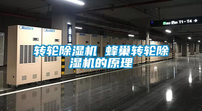 转轮草莓视频黄色在线观看机 蜂巢转轮草莓视频黄色在线观看机的原理