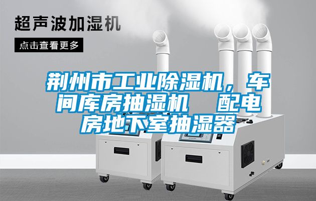 荆州市工业草莓视频黄色在线观看机，车间库房抽湿机  配电房地下室抽湿器
