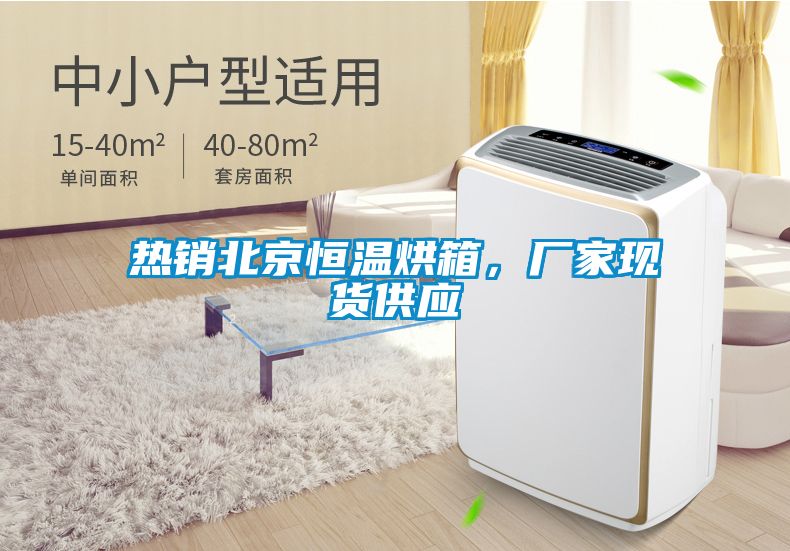 热销北京恒温烘箱，厂家现货供应