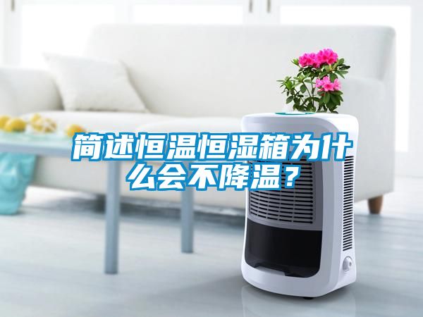 简述恒温恒湿箱为什么会不降温？