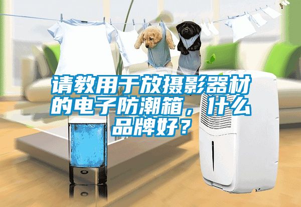 请教用于放摄影器材的电子防潮箱，什么品牌好？