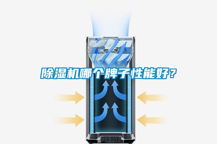 草莓视频黄色在线观看机哪个牌子性能好？