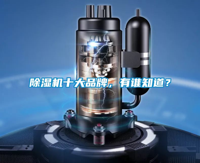 草莓视频黄色在线观看机十大品牌，有谁知道？