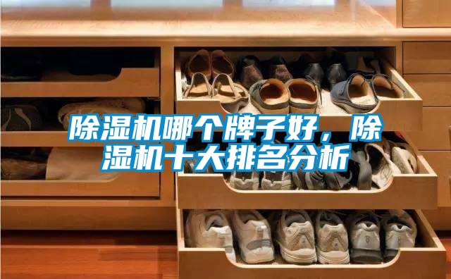 草莓视频黄色在线观看机哪个牌子好，草莓视频黄色在线观看机十大排名分析