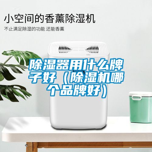 草莓视频黄色在线观看器用什么牌子好（草莓视频黄色在线观看机哪个品牌好）