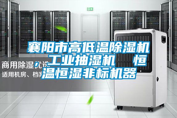 襄阳市高低温草莓视频黄色在线观看机，工业抽湿机  恒温恒湿非标机器