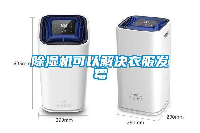 草莓视频黄色在线观看机可以解决衣服发霉