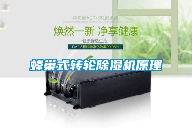 蜂巢式转轮草莓视频黄色在线观看机原理