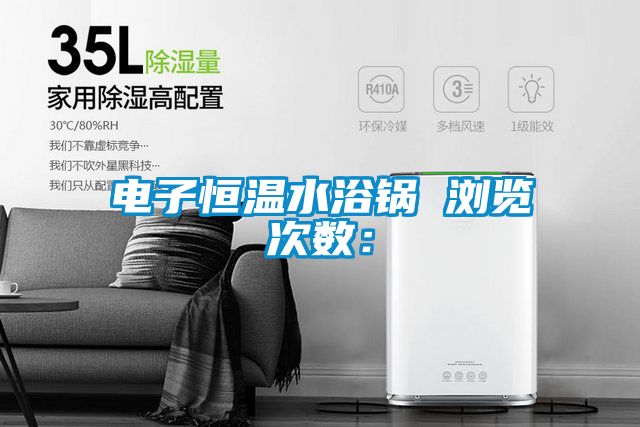 电子恒温水浴锅　　浏览次数：