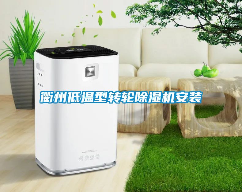 衢州低温型转轮草莓视频黄色在线观看机安装