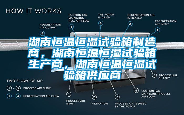 湖南恒温恒湿试验箱制造商，湖南恒温恒湿试验箱生产商，湖南恒温恒湿试验箱供应商