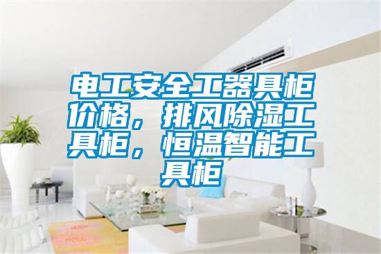 电工安全工器具柜价格，排风草莓视频黄色在线观看工具柜，恒温智能工具柜