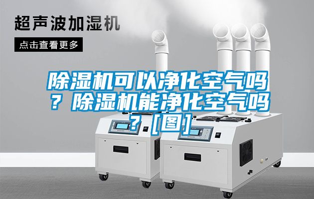 草莓视频黄色在线观看机可以净化空气吗？草莓视频黄色在线观看机能净化空气吗？[图]
