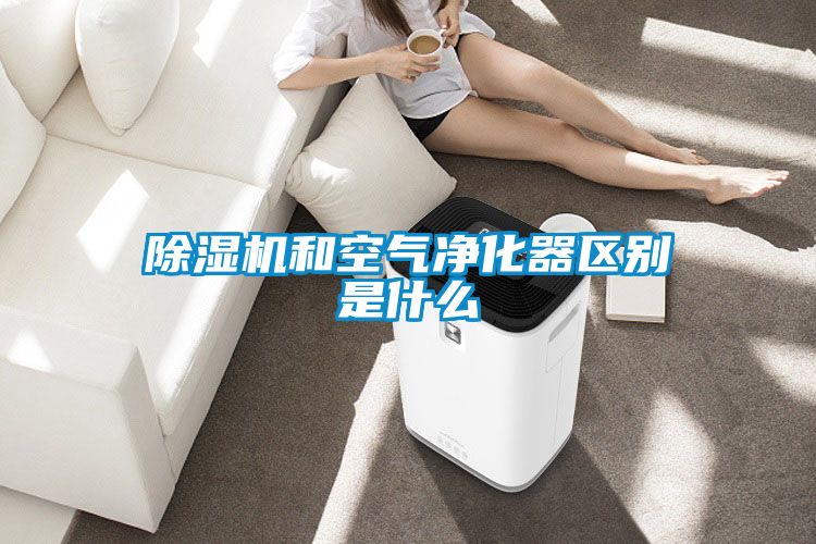 草莓视频黄色在线观看机和空气净化器区别是什么