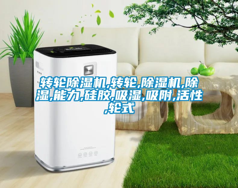 转轮草莓视频黄色在线观看机,转轮,草莓视频黄色在线观看机,草莓视频黄色在线观看,能力,硅胶,吸湿,吸附,活性,轮式
