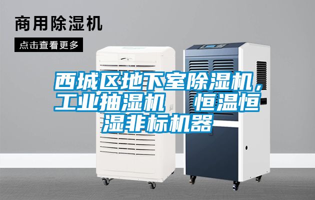 西城区地下室草莓视频黄色在线观看机，工业抽湿机  恒温恒湿非标机器