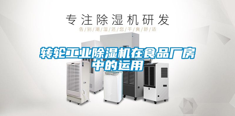 转轮工业草莓视频黄色在线观看机在食品厂房中的运用