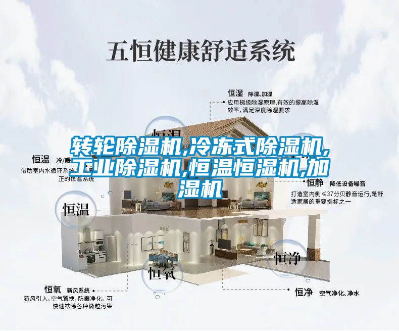 转轮草莓视频黄色在线观看机,冷冻式草莓视频黄色在线观看机,工业草莓视频黄色在线观看机,恒温恒湿机,加湿机