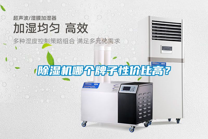 草莓视频黄色在线观看机哪个牌子性价比高？