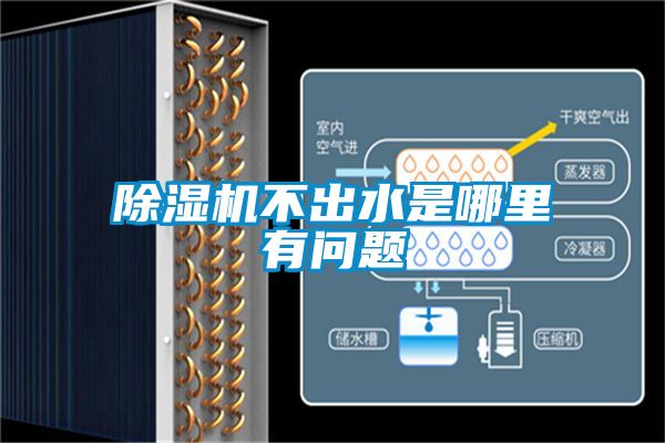 草莓视频黄色在线观看机不出水是哪里有问题