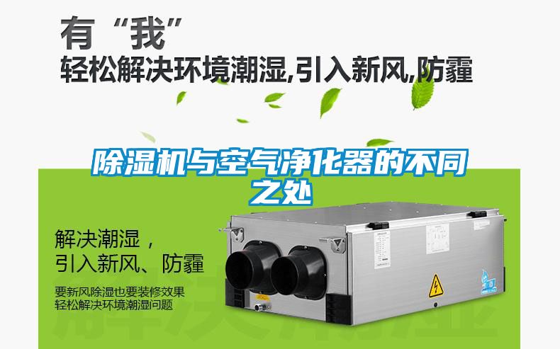 草莓视频黄色在线观看机与空气净化器的不同之处