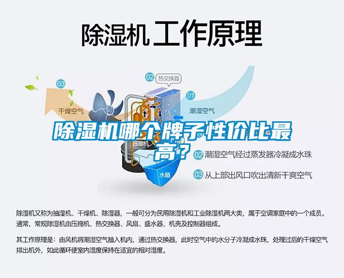 草莓视频黄色在线观看机哪个牌子性价比最高？