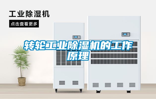 转轮工业草莓视频黄色在线观看机的工作原理