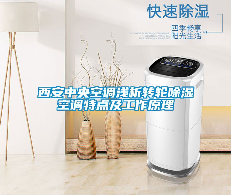 西安中央空调浅析转轮草莓视频黄色在线观看空调特点及工作原理