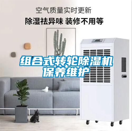 组合式转轮草莓视频黄色在线观看机保养维护