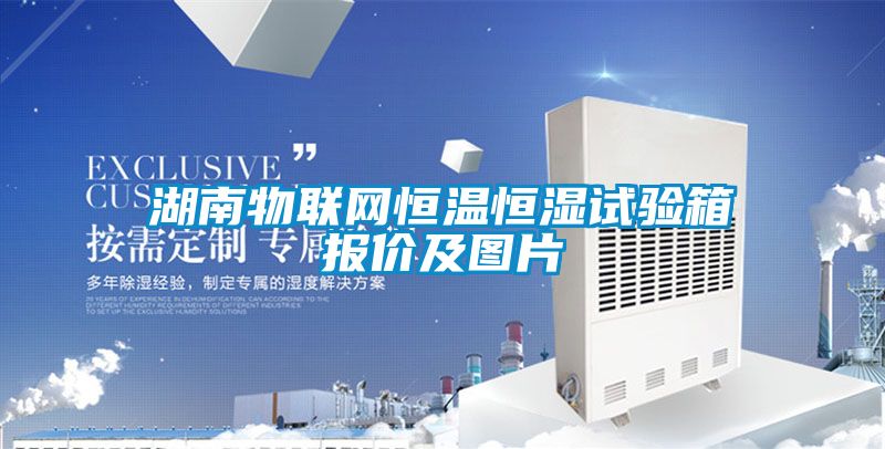 湖南物联网恒温恒湿试验箱报价及图片