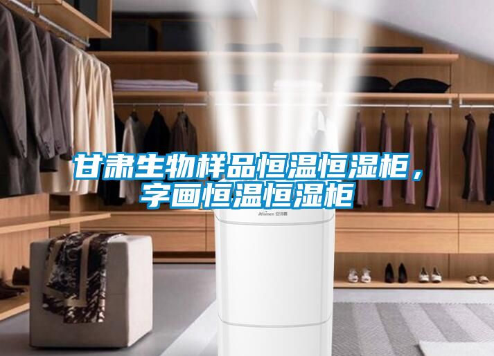 甘肃生物样品恒温恒湿柜，字画恒温恒湿柜