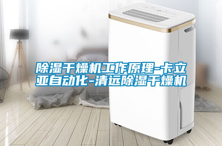 草莓视频黄色在线观看干燥机工作原理-卡立亚自动化-清远草莓视频黄色在线观看干燥机