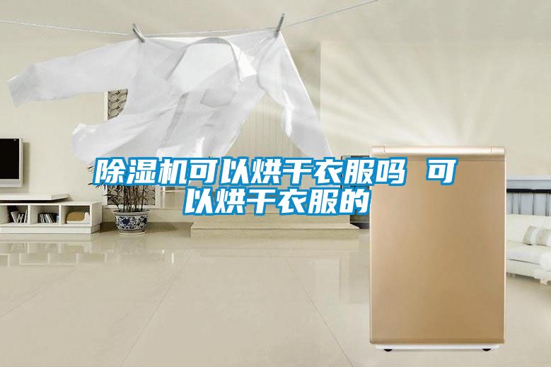 草莓视频黄色在线观看机可以烘干衣服吗 可以烘干衣服的