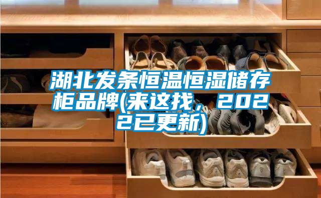湖北发条恒温恒湿储存柜品牌(来这找，2022已更新)