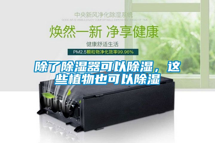 除了草莓视频黄色在线观看器可以草莓视频黄色在线观看，这些植物也可以草莓视频黄色在线观看