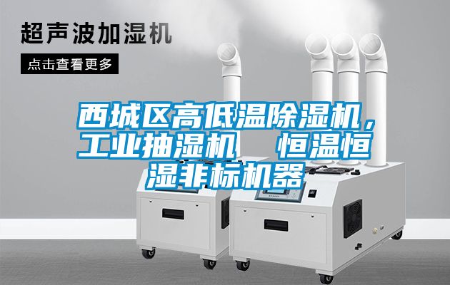 西城区高低温草莓视频黄色在线观看机，工业抽湿机  恒温恒湿非标机器
