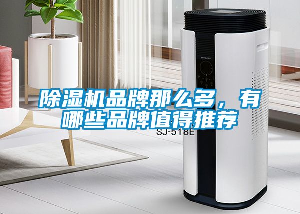 草莓视频黄色在线观看机品牌那么多，有哪些品牌值得推荐