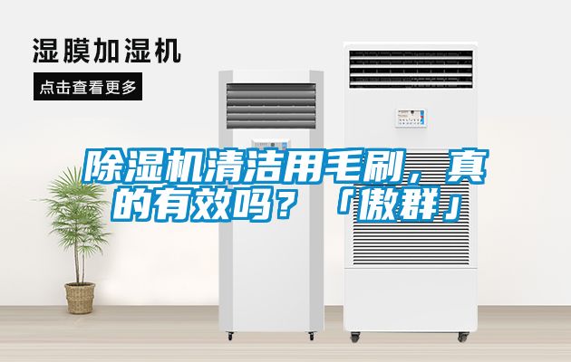草莓视频黄色在线观看机清洁用毛刷，真的有效吗？「傲群」