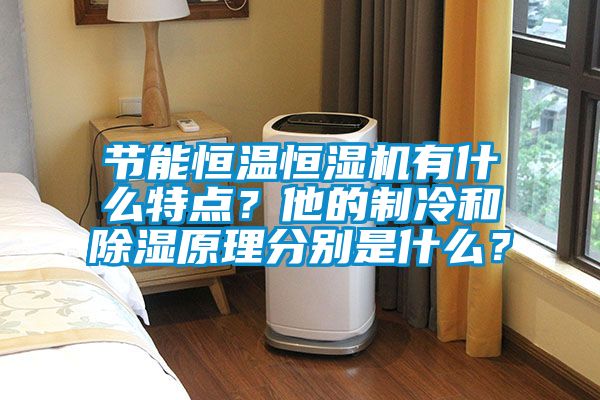节能恒温恒湿机有什么特点？他的制冷和草莓视频黄色在线观看原理分别是什么？