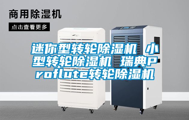 迷你型转轮草莓视频黄色在线观看机 小型转轮草莓视频黄色在线观看机 瑞典Proflute转轮草莓视频黄色在线观看机