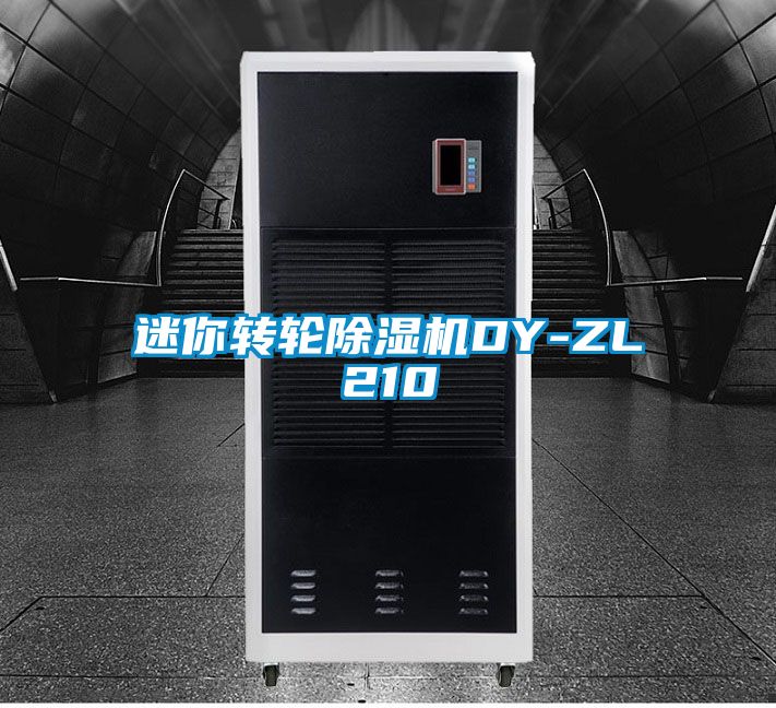 迷你转轮草莓视频黄色在线观看机DY-ZL210